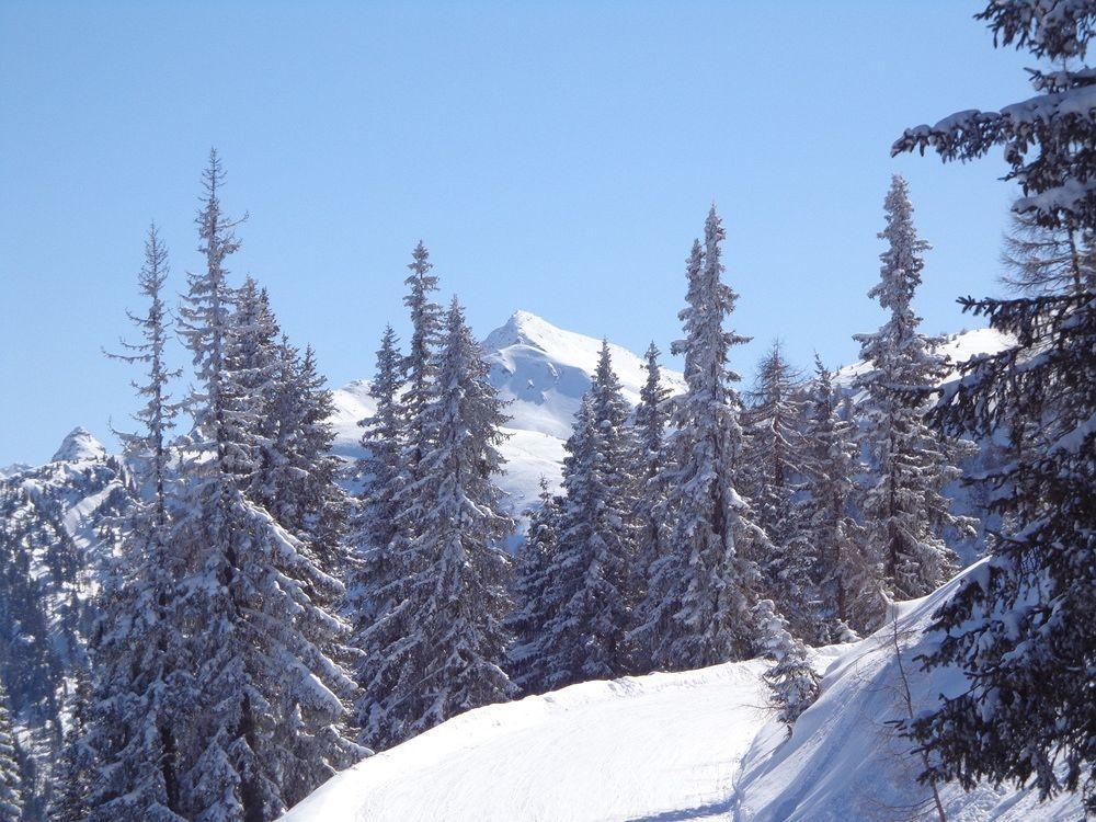 Apartment Hinkerhof Schladming Eksteriør billede